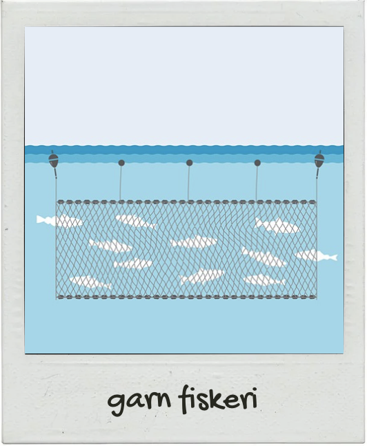 garnfiskeri