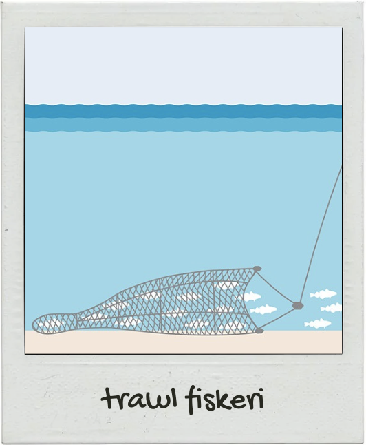 trawlfiskeri